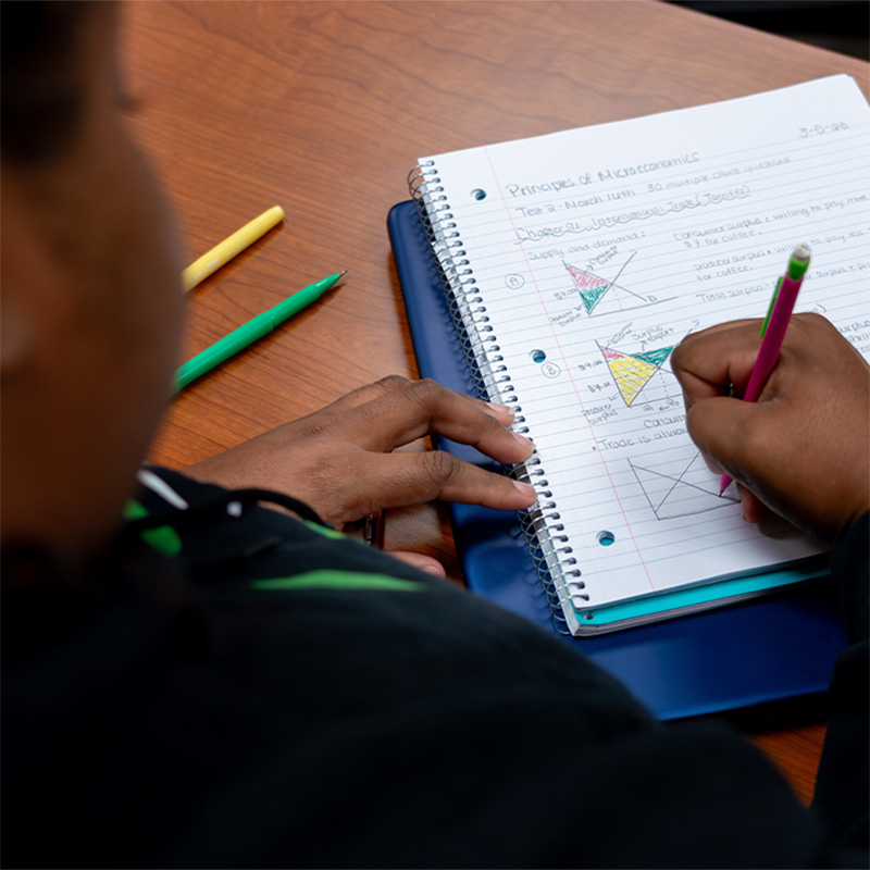 An economics student in the classroom