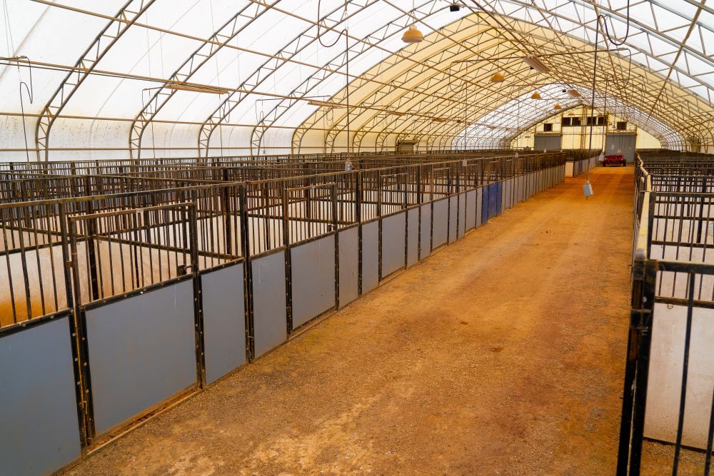 Horses and animals at the Great Smoky Mountains Expo Center