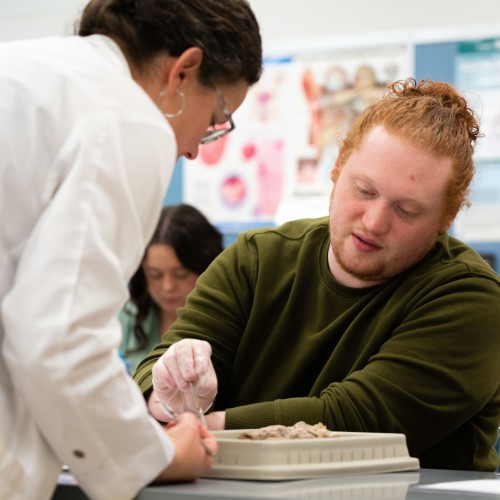 A biology student.