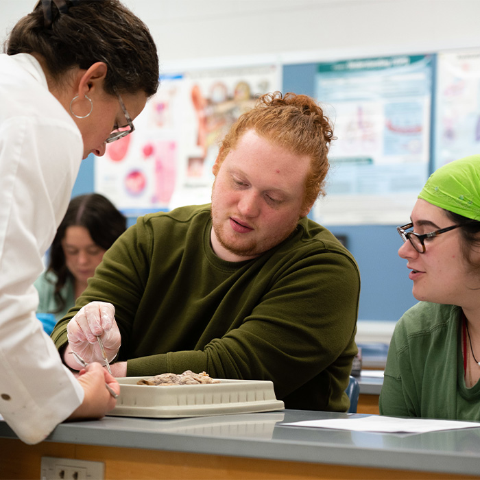 Biology Lab Students