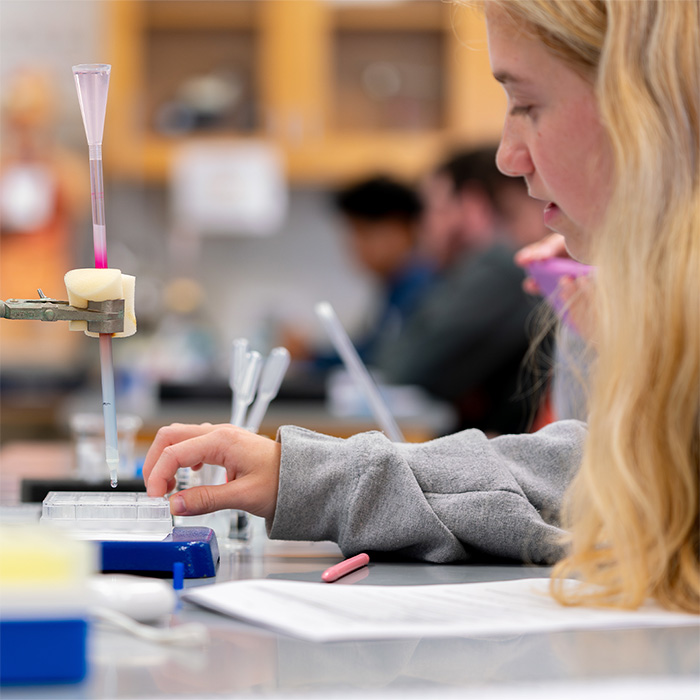 A Walters State student performing a test.