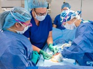 Students work in a Health Programs lab