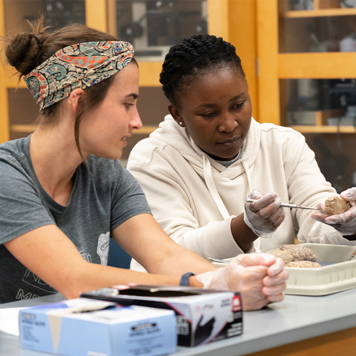 Biology Lab Students