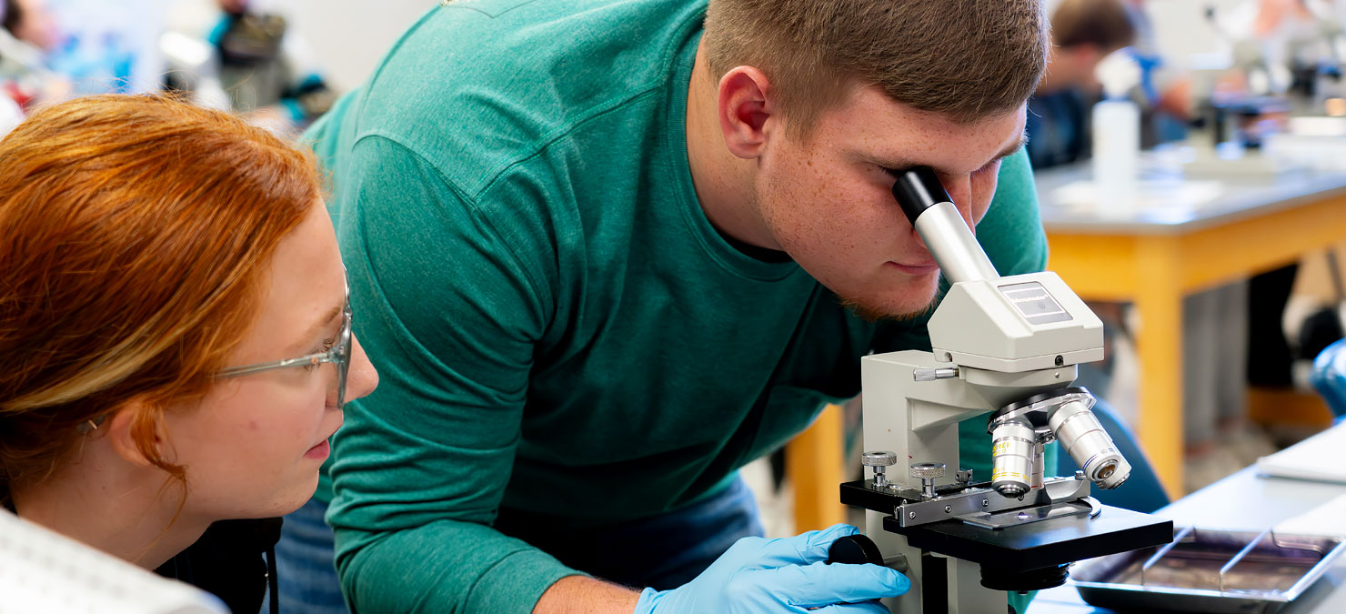 Students attending Walters State Community College.
